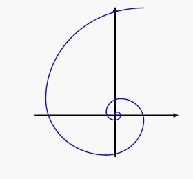 Nautilus Of Fibonacci
