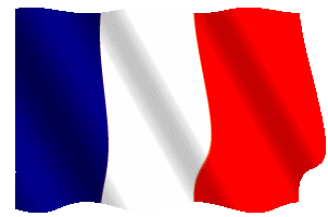 GIF Bandiera Francese 1